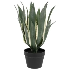 Agave artificielle en plastique H55cm vert