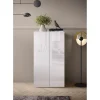 Armoire de stockage 2 portes multifonctionnelle