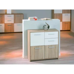 Bahut 5 rangements Bois 77x30 cm Blanc et Naturel VENEZIA