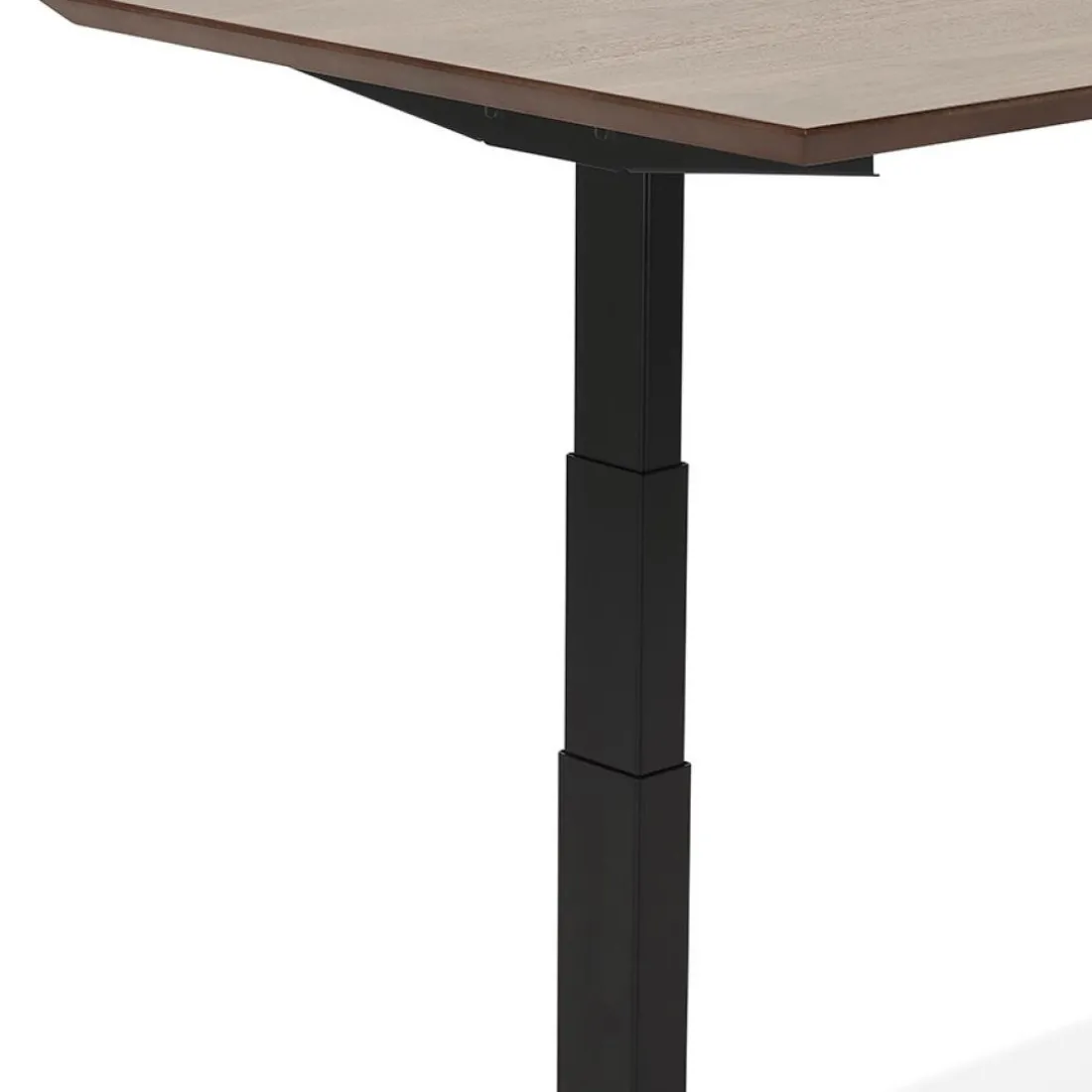 Bureau assis-debout électrique 'BIONIK'avec plateau en bois finition Noyer et pied en métal noir