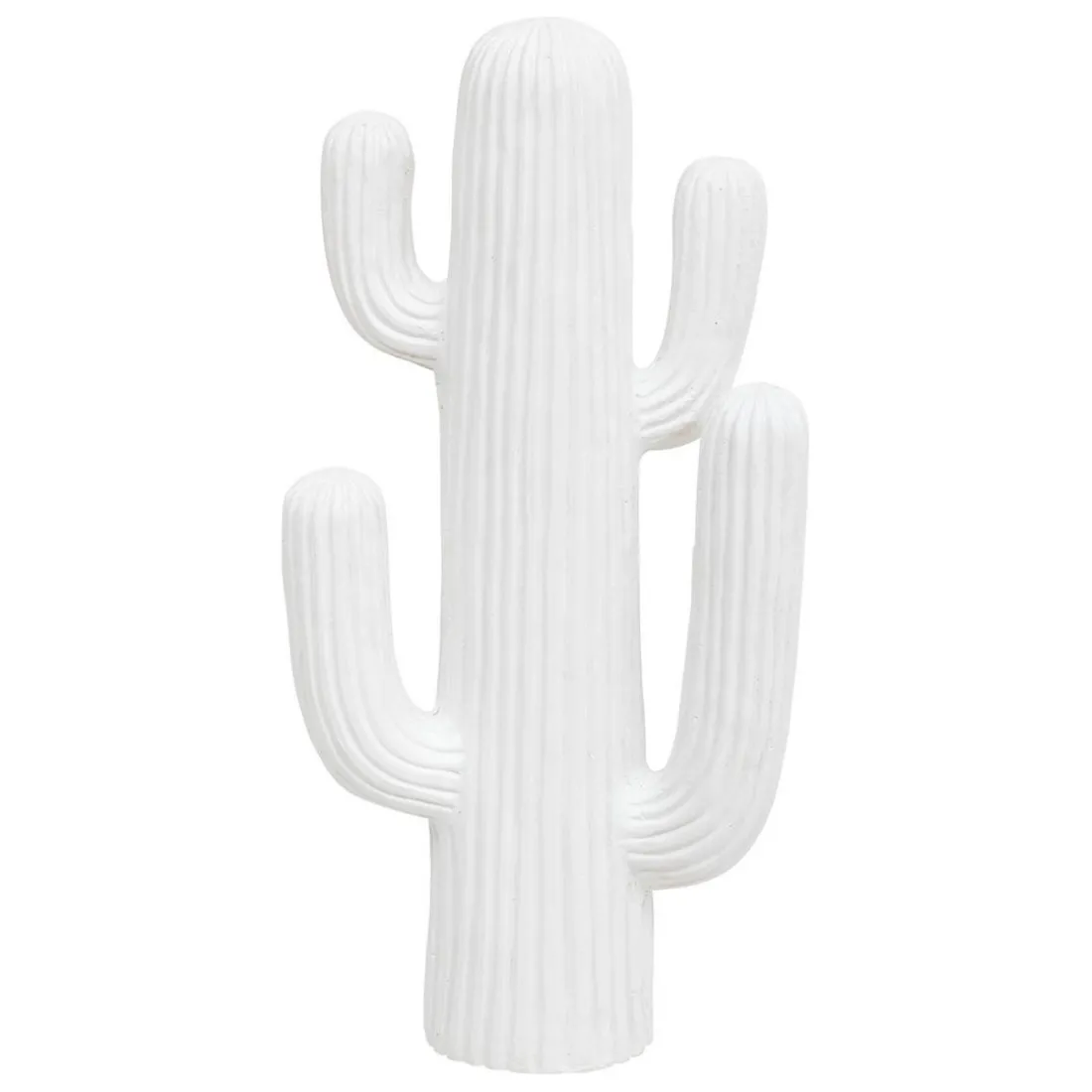 Cactus déco