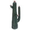 Cactus déco céramique vert