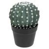 Cactus Rond Pot Plastique RAN H25