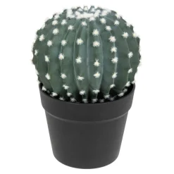 Cactus Rond Pot Plastique RAN H25