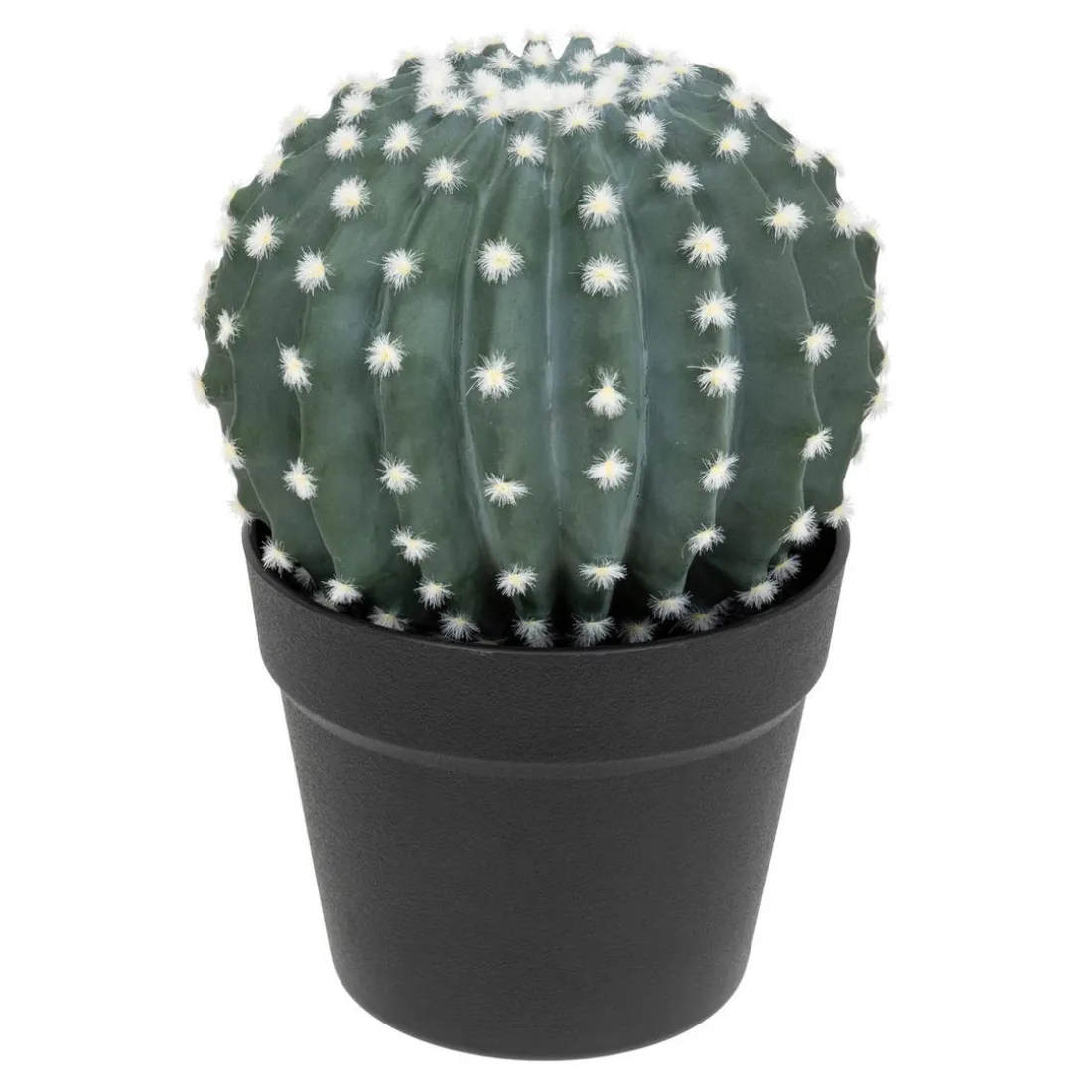 Cactus Rond Pot Plastique RAN H25