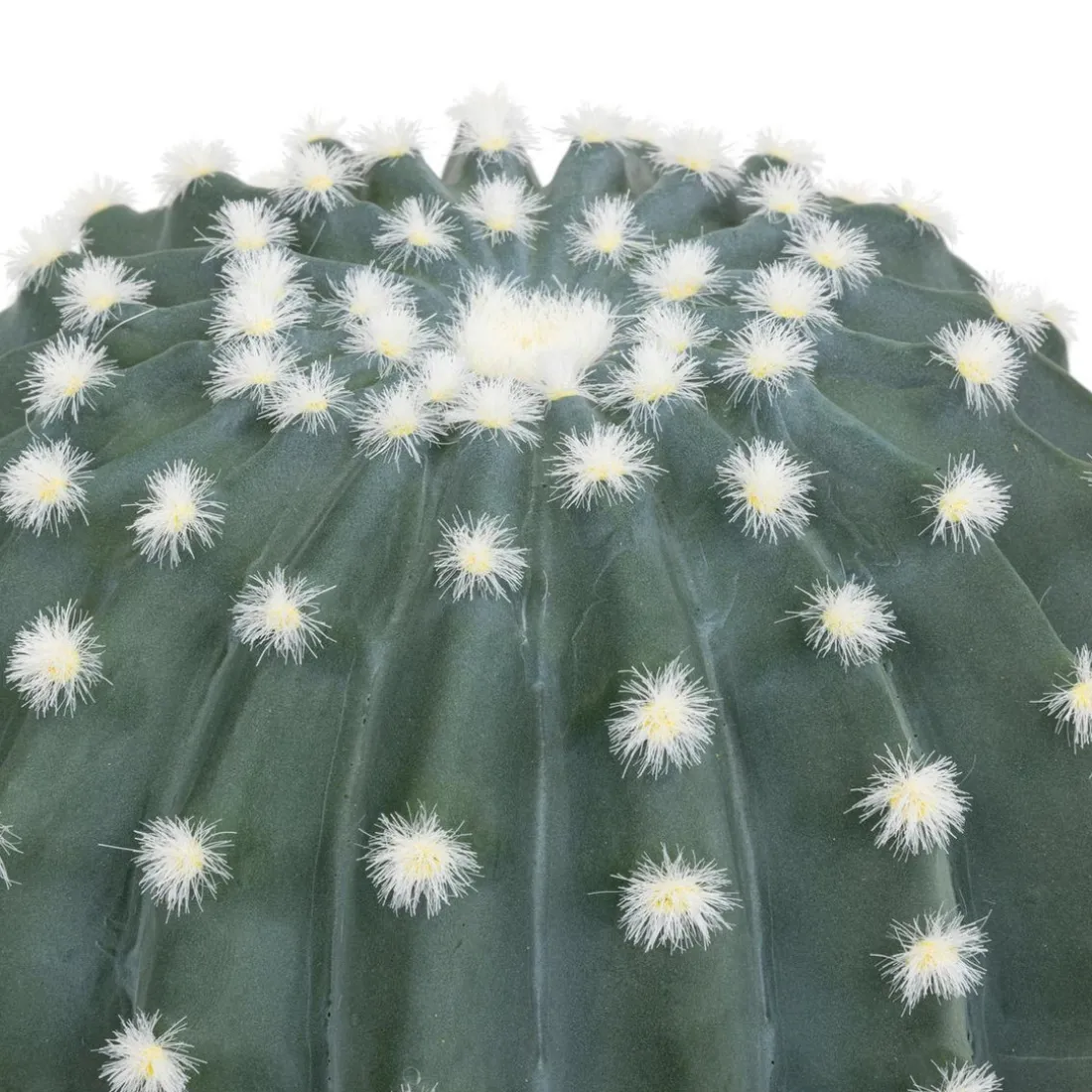 Cactus Rond Pot Plastique RAN H25