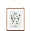 Cadre en Verre Feuilles Eucalyptus