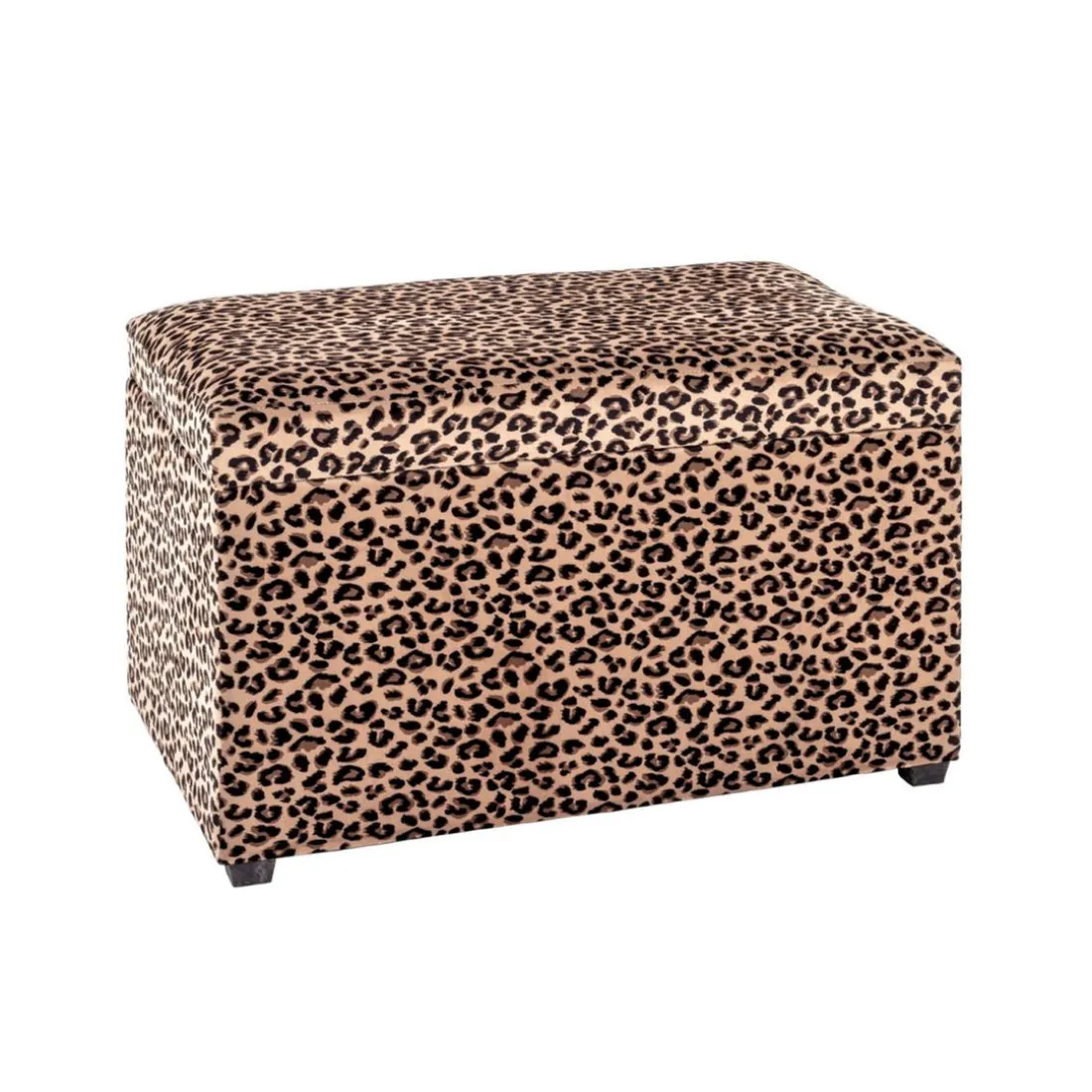Coffre De Rangement Léopard
