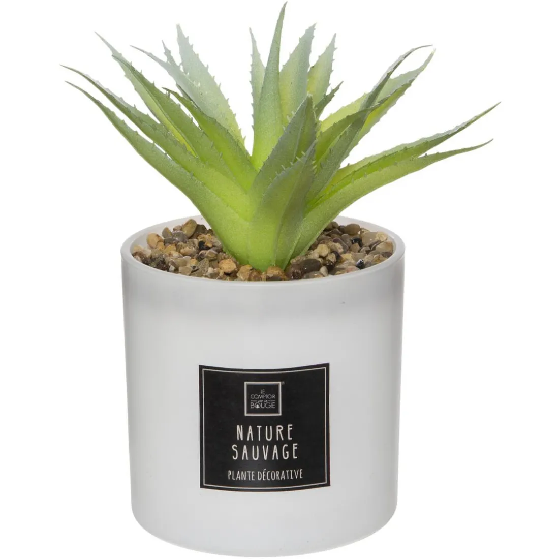 Coffret Senteur Cactus
