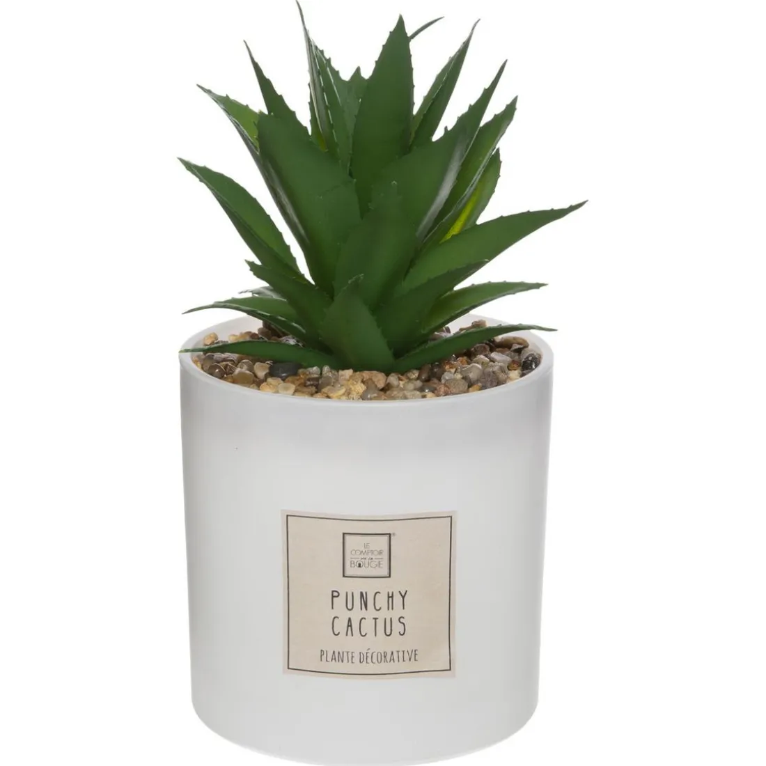 Coffret Senteur Cactusvoir