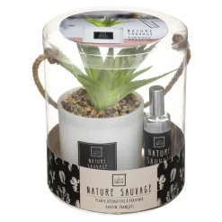 Coffret Senteur Cactusvoir