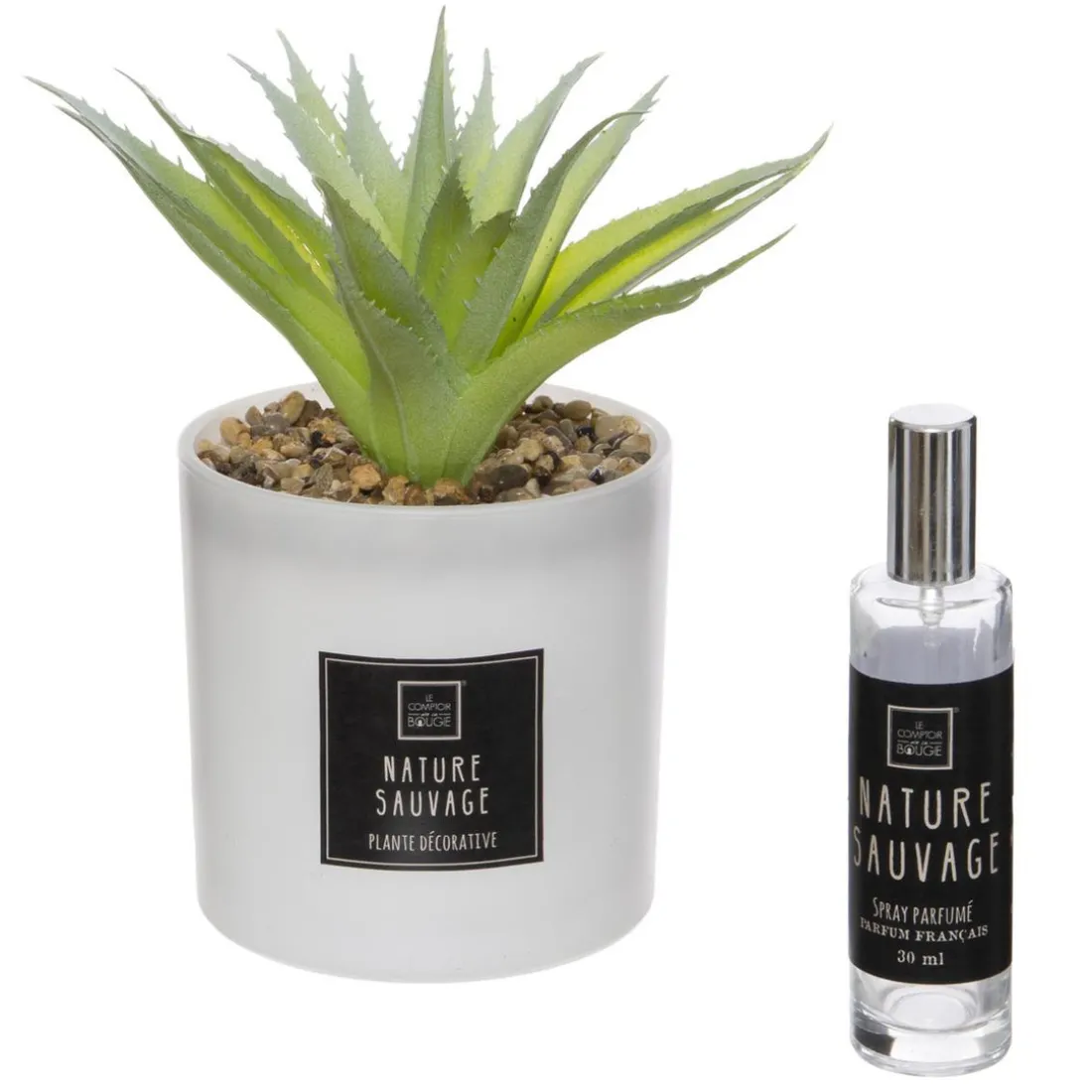 Coffret Senteur Cactusvoir