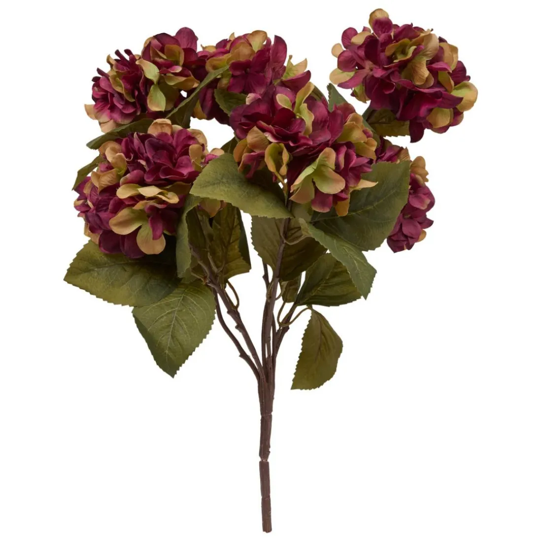 Composition florale Fria