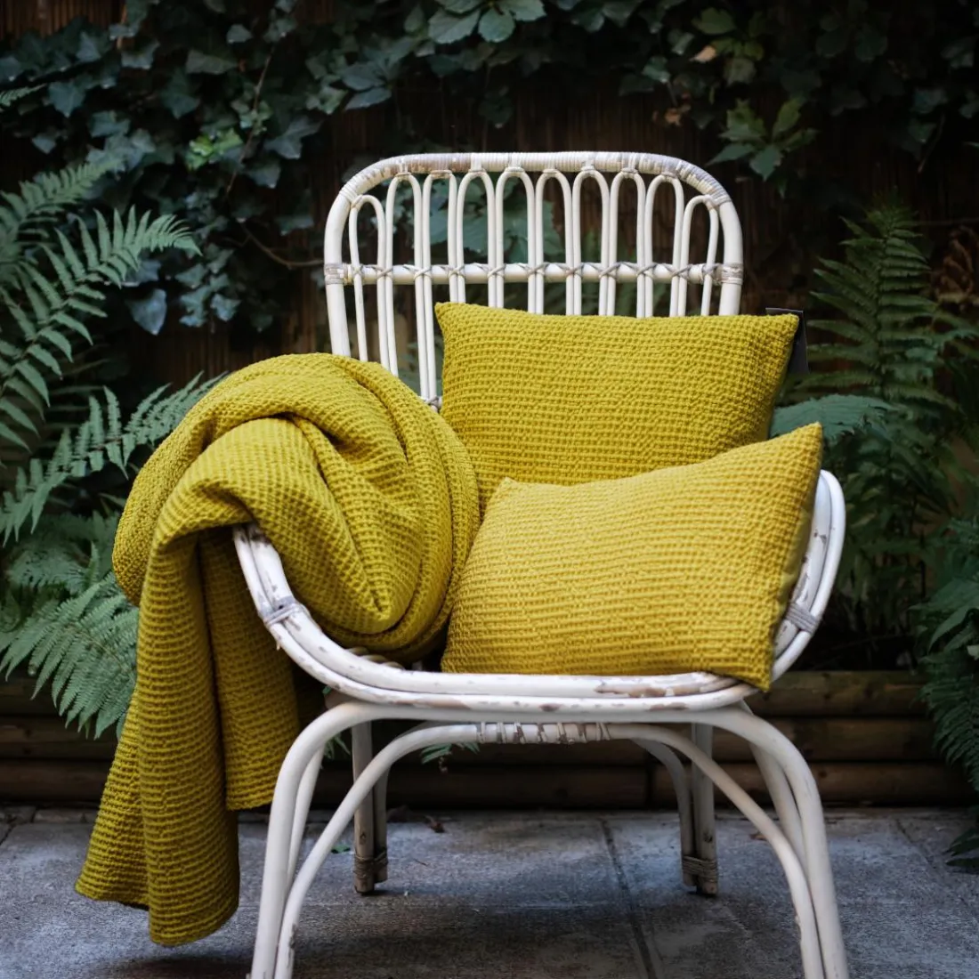 Coussin coton Maia Vert Badiane