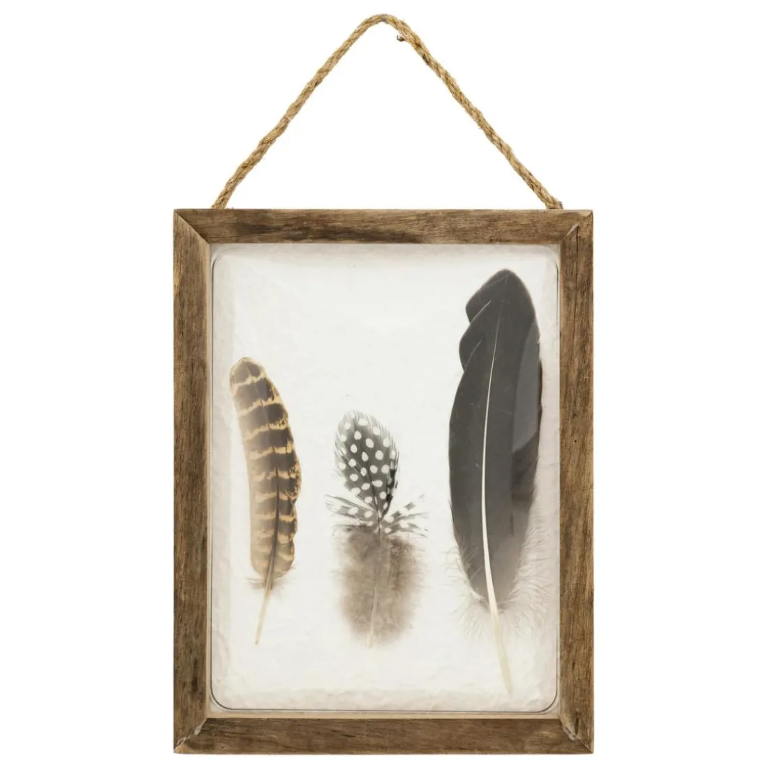 Déco murale bombée plume Jonas Bois
