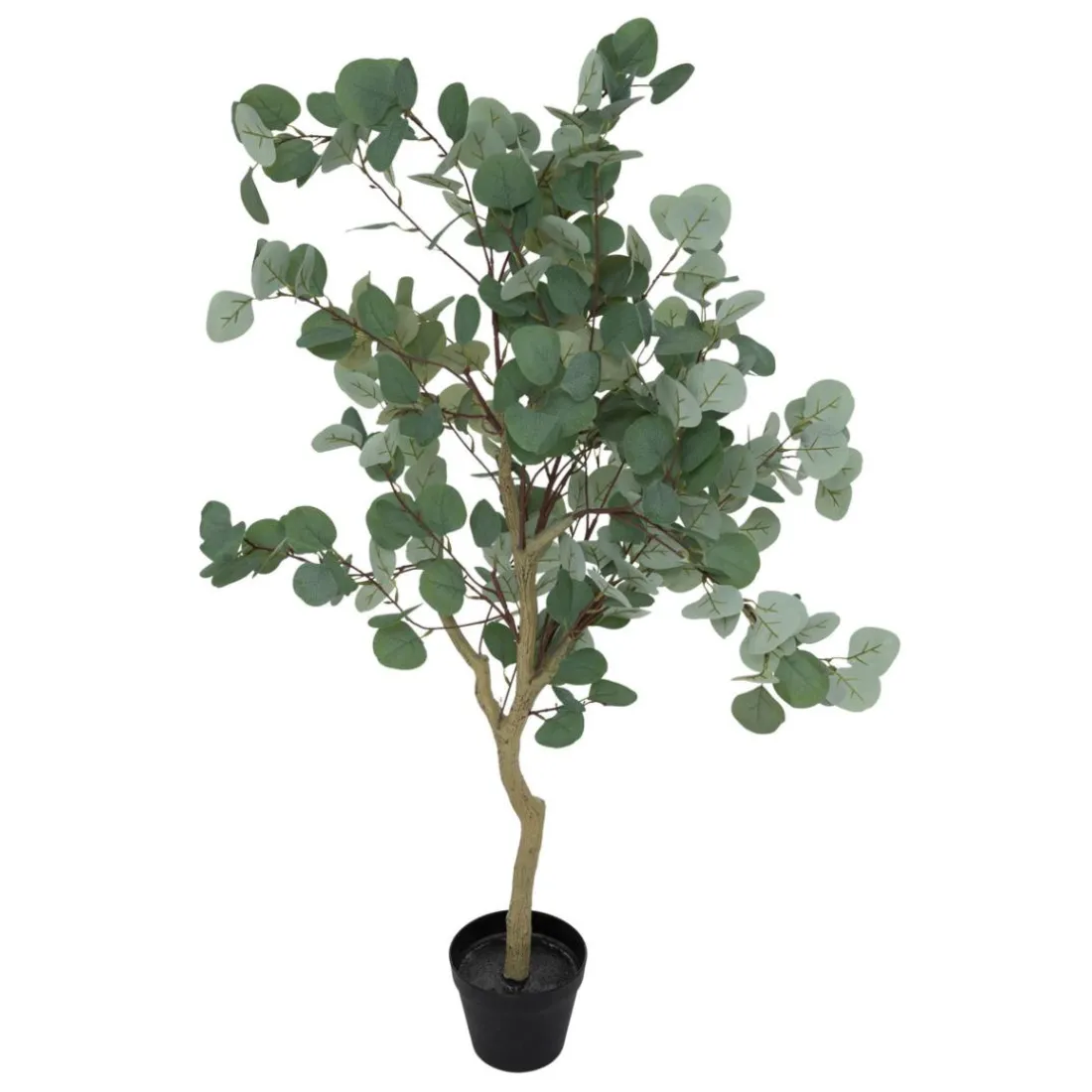 Eucalyptus artificiel Cony Pot noir