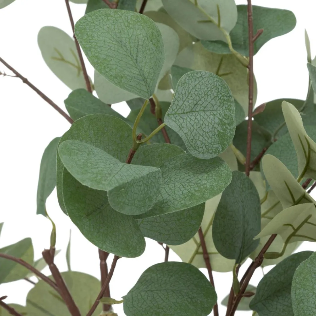 Eucalyptus artificiel Cony Pot noir