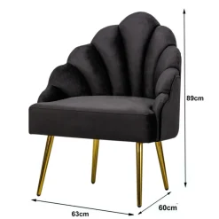 Fauteuil de Salon Design Pieds Metal BOLGE-NOIR