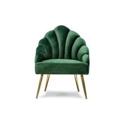 Fauteuil de salon en Métal Vert Design