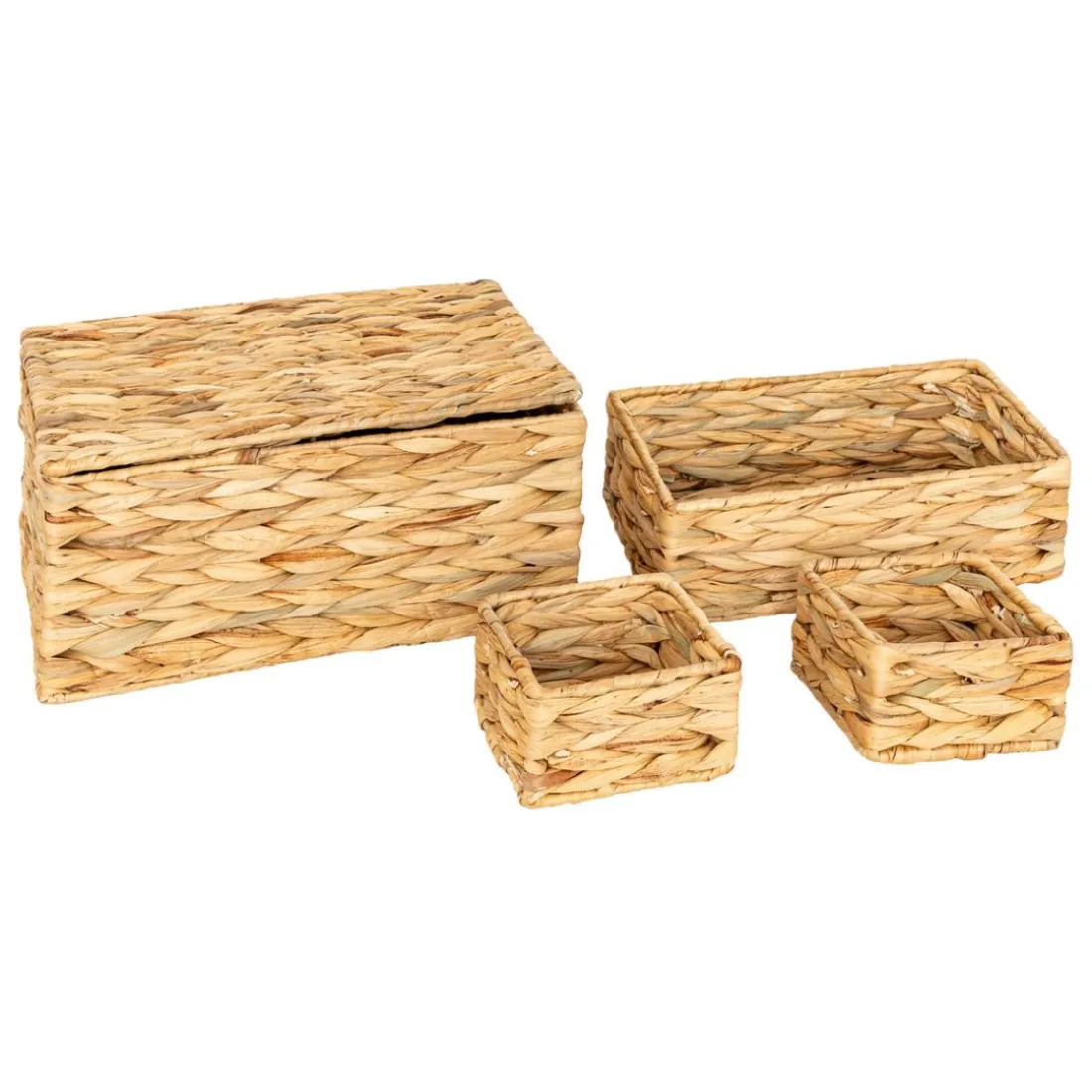 Lot de 4 paniers Lia jacinthe d'eau