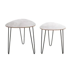 Lot de 2 tables d'appoint