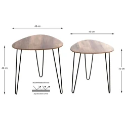 Lot de 2 tables d'appoint noir en métal laqué