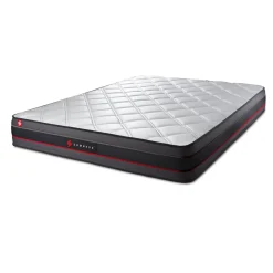 Matelas REGEN a memoire de forme