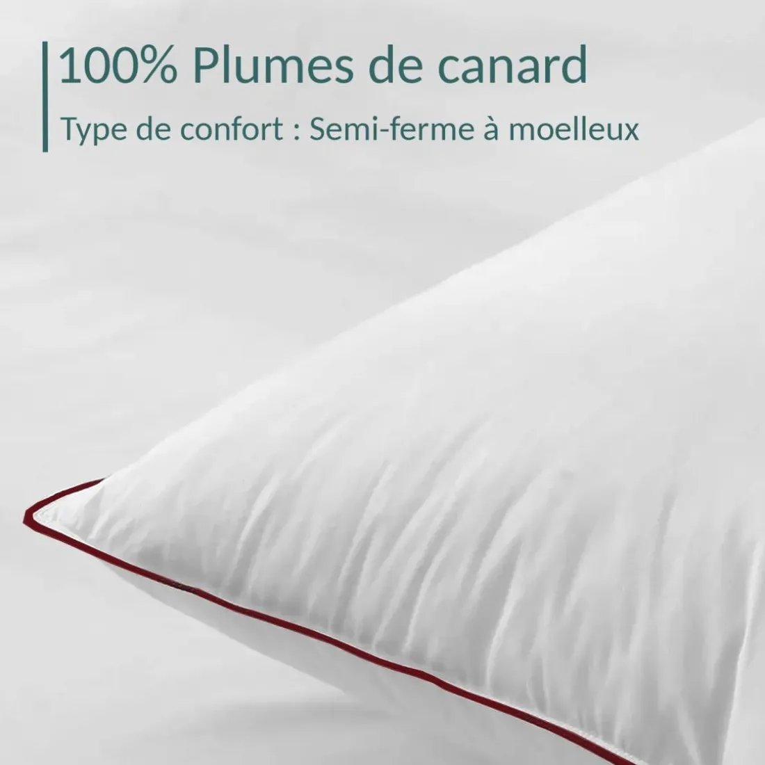Oreiller 100% plume