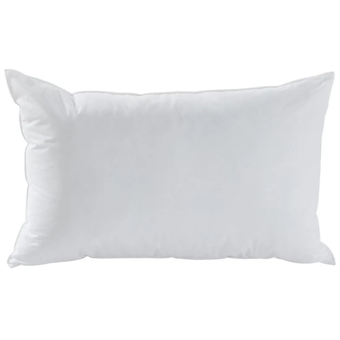 Oreillers antiacariens 30% duvet de canard neuf