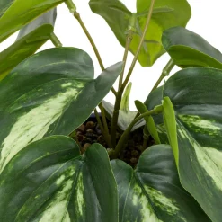 Plante artificielle