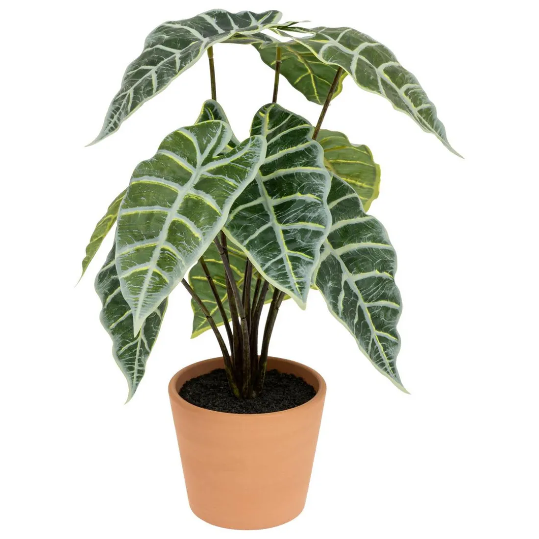 Plante Artificielle Alocasia