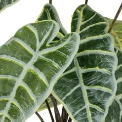 Plante Artificielle Alocasia