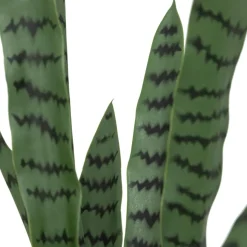 Plante artificielle sansevieria Toby Pot noir