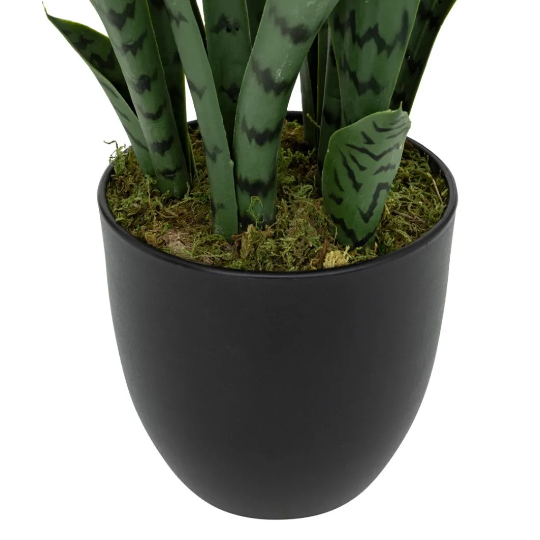 Plante artificielle sansevieria Toby Pot noir