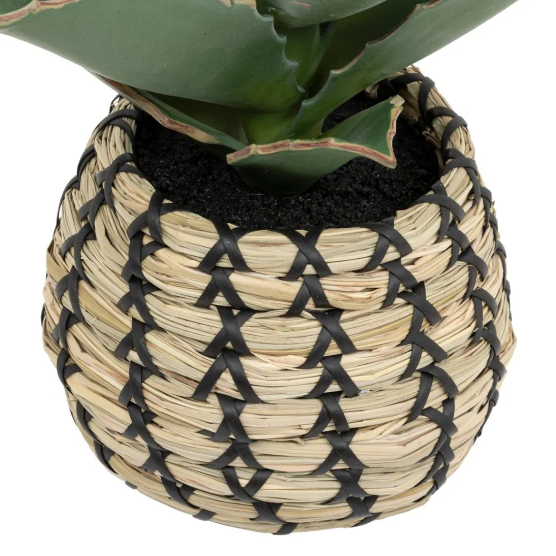 Plante Samouraï articifielle