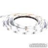 Ruban LED blanc et télécommande