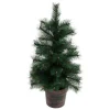 Sapin Windy Peak Vert