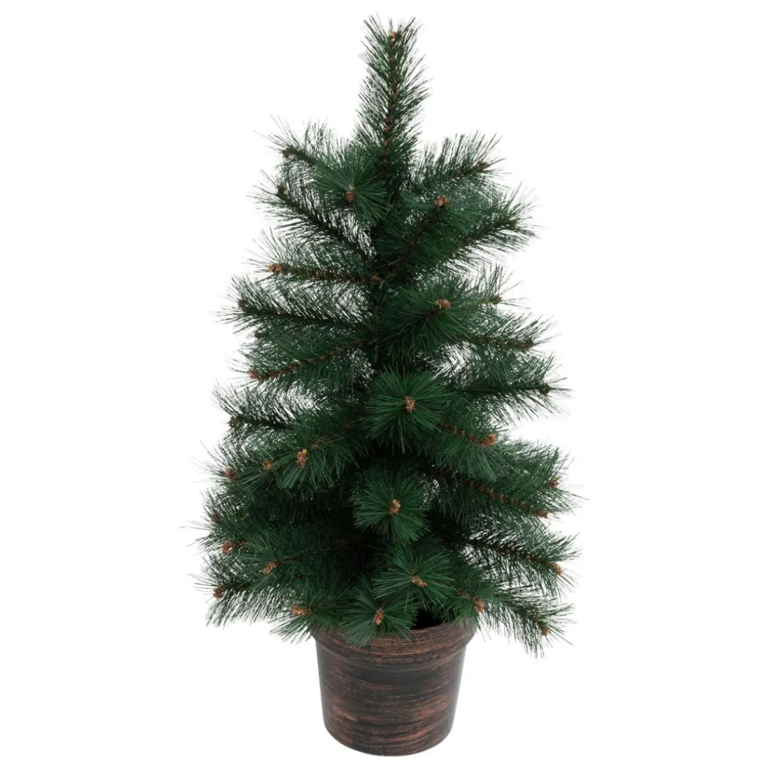 Sapin Windy Peak Vert