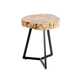 Table d'appoint plateau rondelle d'arbre modèle maxi