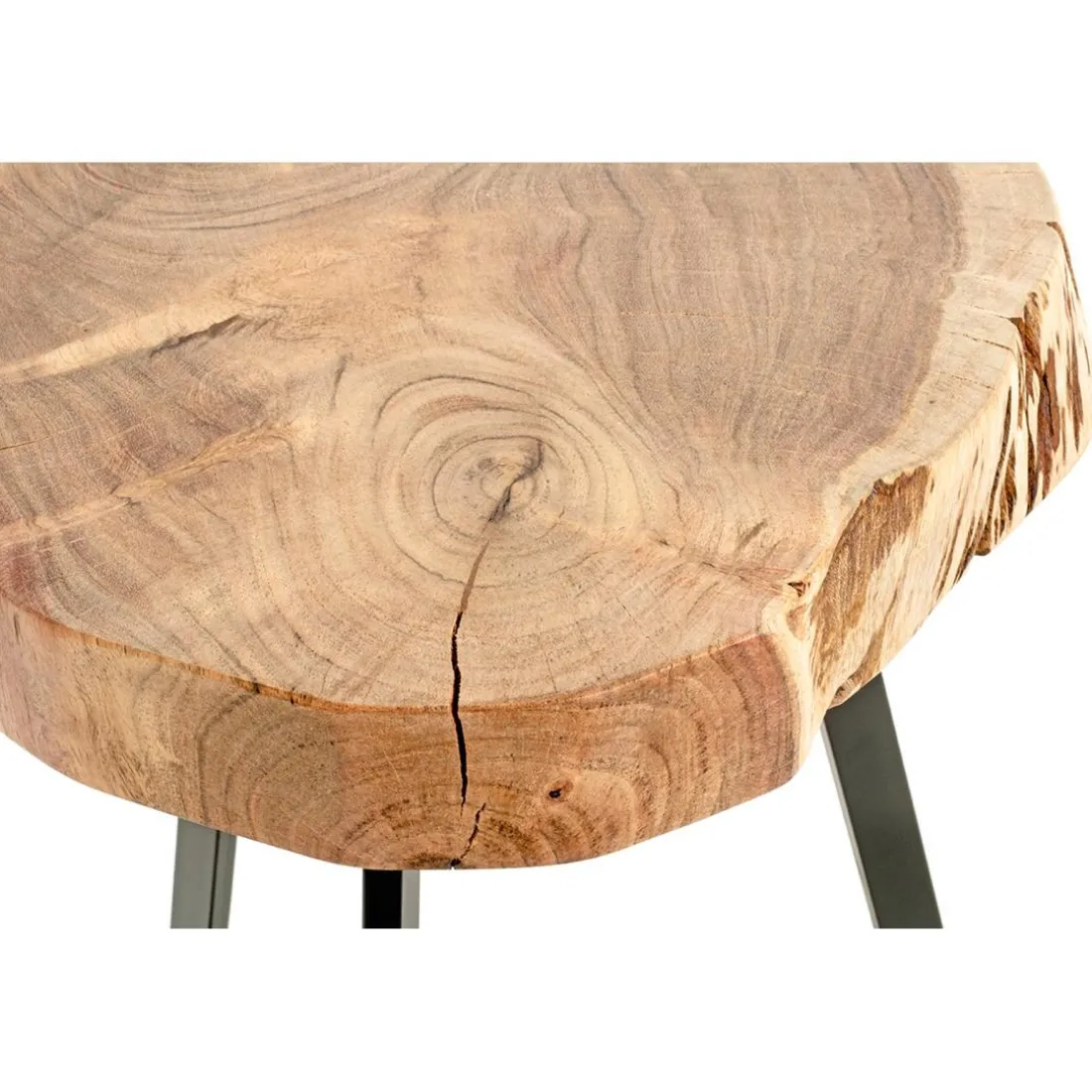 Table d'appoint plateau rondelle d'arbre modèle maxi