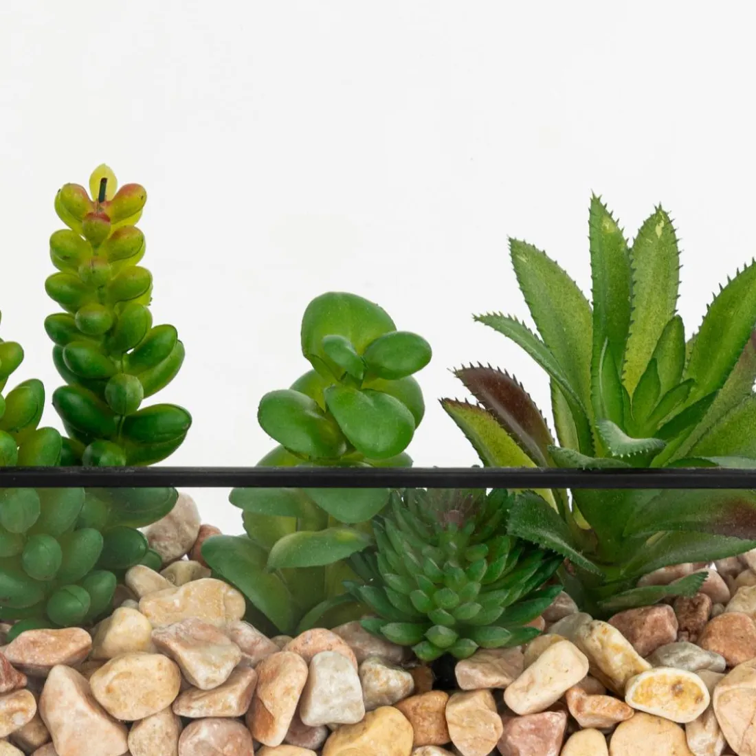 Terrarium artificiel Pia Noir
